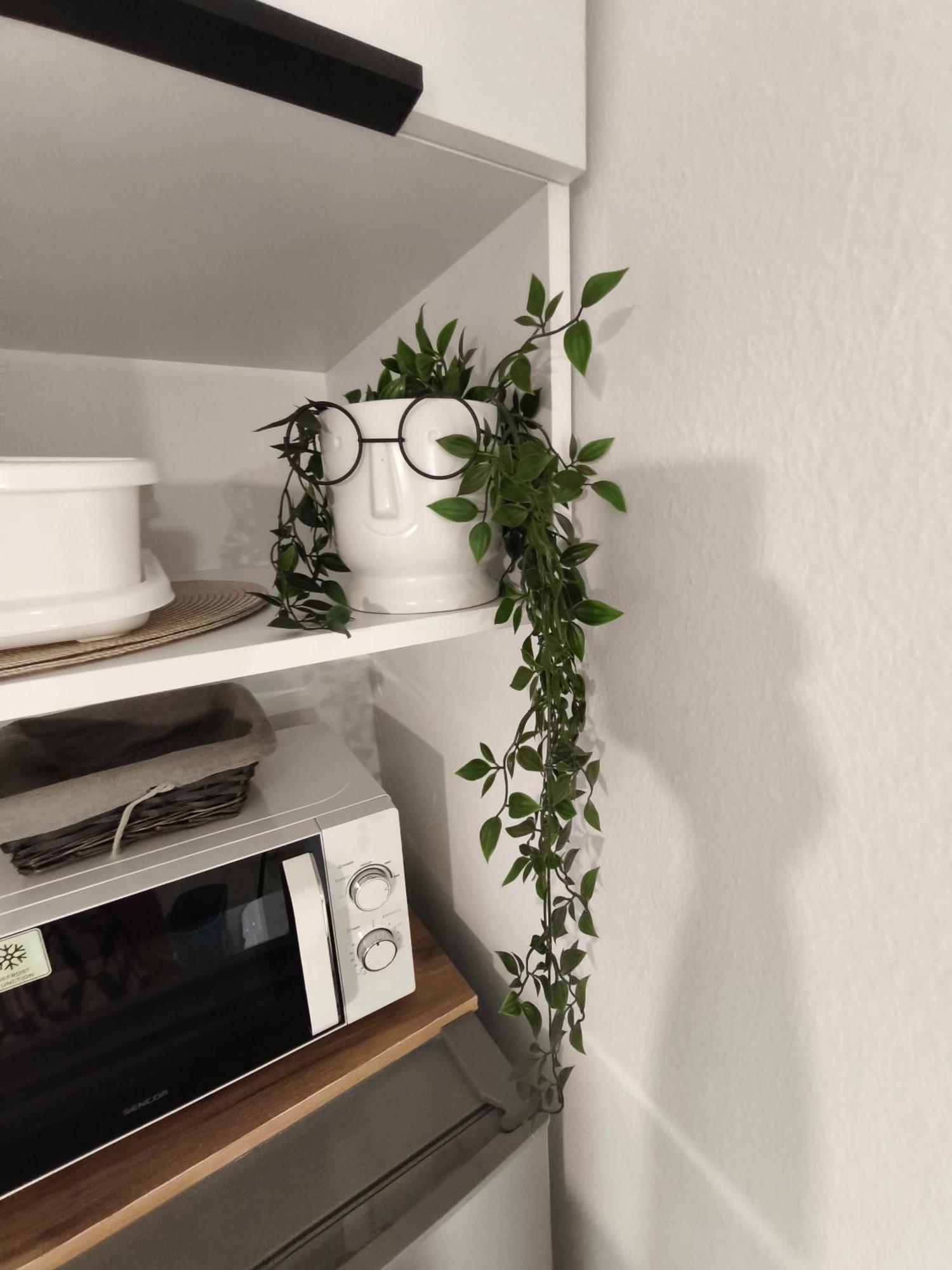 Apartmani Romana Punat Rom bilde